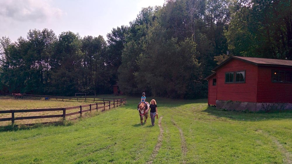 Horseback Riding Barn and Paddock